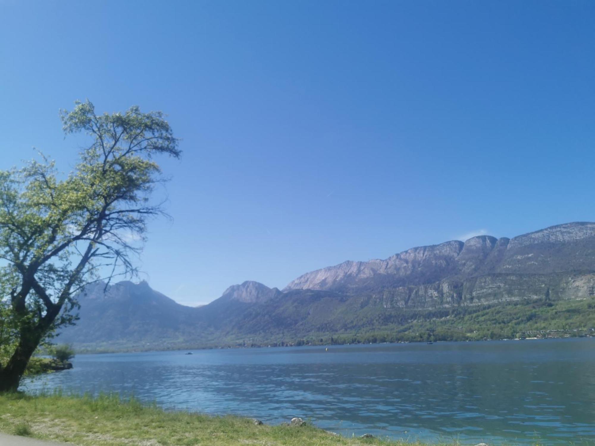 Charmant Appartement A 1 Minute Du Lac Annecy Eksteriør bilde
