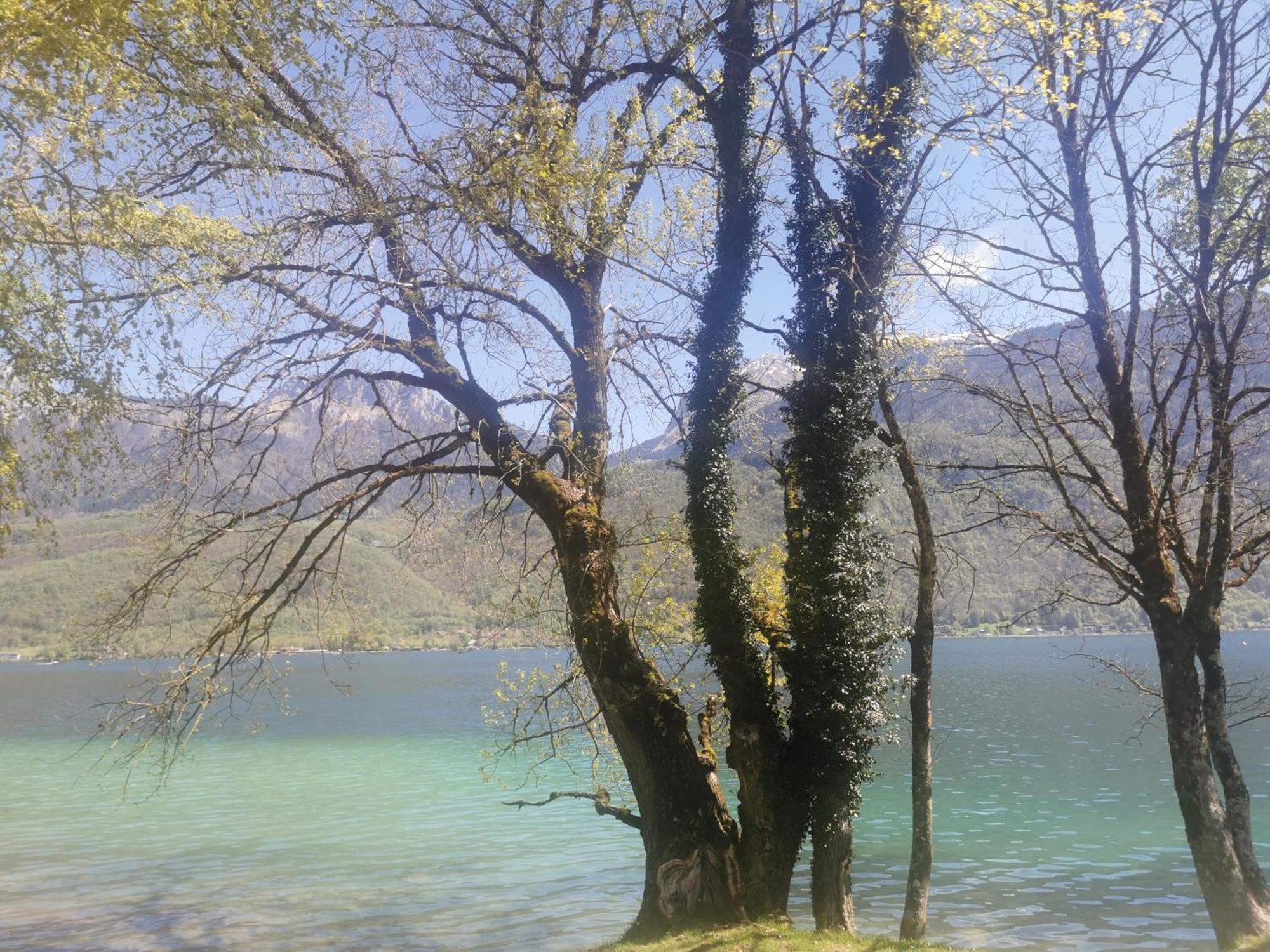 Charmant Appartement A 1 Minute Du Lac Annecy Eksteriør bilde